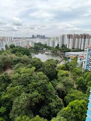 Blk 536 Panshan Grove (Bukit Panjang), HDB 5 Rooms #579764761